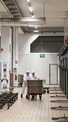 En la fábrica de Hero estos dos operarios trabajan bajo la iluminación de Philips para la industria alimentaria