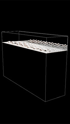 Una imagen transparente de las posibilidades de OLED