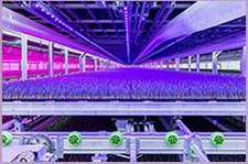 Módulo de producción LED GreenPower Dynamic