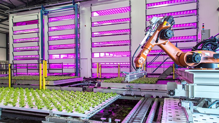 Instalaciones agrícolas de alta tecnología