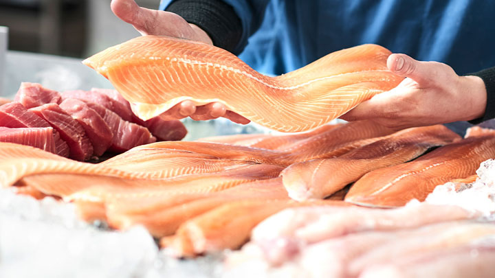 Salmón fresco