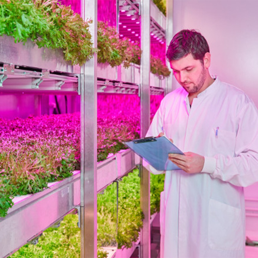 ¿Deseas controlar los niveles de nitratos en plantas de hoja verde?