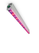 Iluminación LED superior Philips GreenPower