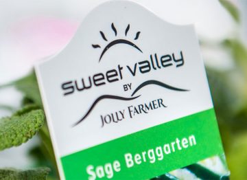 Mejor crecimiento, reducción de los costes energéticos con luces para cultivos LED