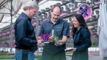 Con el apoyo del equipo de Signify, formado por el jefe de cuentas clave e ingeniero de aplicaciones, Jolly Farmer hace el cambio a los LED de Philips