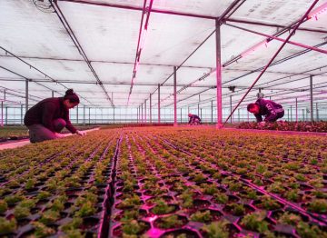 Es una situación en la que todos ganan