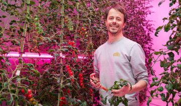 GrowWise: introducción