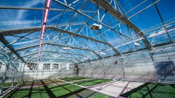 Kalamazoo Specialty mejora el crecimiento con las luces LED para cultivos de iluminación superior de Philips